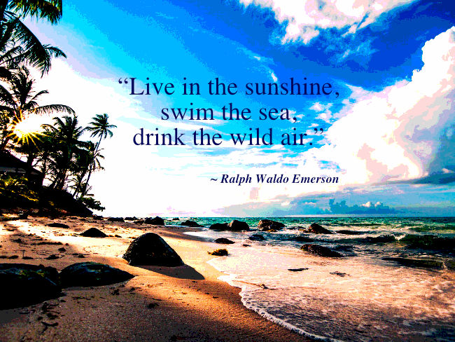 "Live in the sunshine, swim the sea, drink the wild air." Ralph Walso Emerson