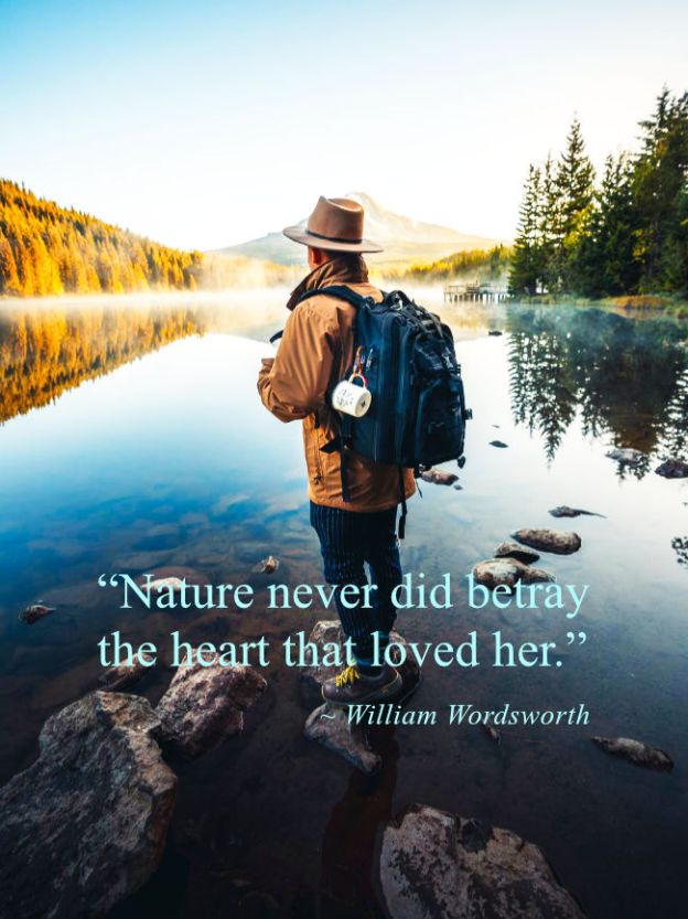 "Nature never did betray the heart that loved her." William Wordsworth