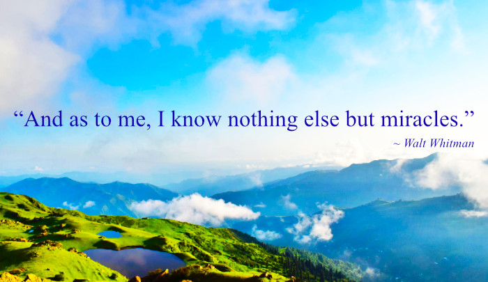 "As to me, I know nothing else but miracles." Walt Whitman
