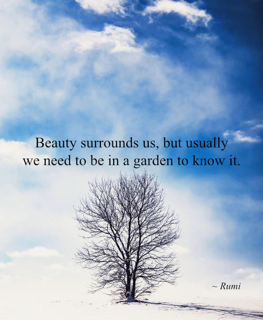 "Beauty surrounds us, but ususally we need to be in a garden to know it" Rumi