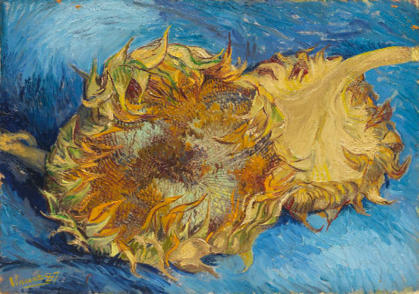 Sunflowers_VanGogh