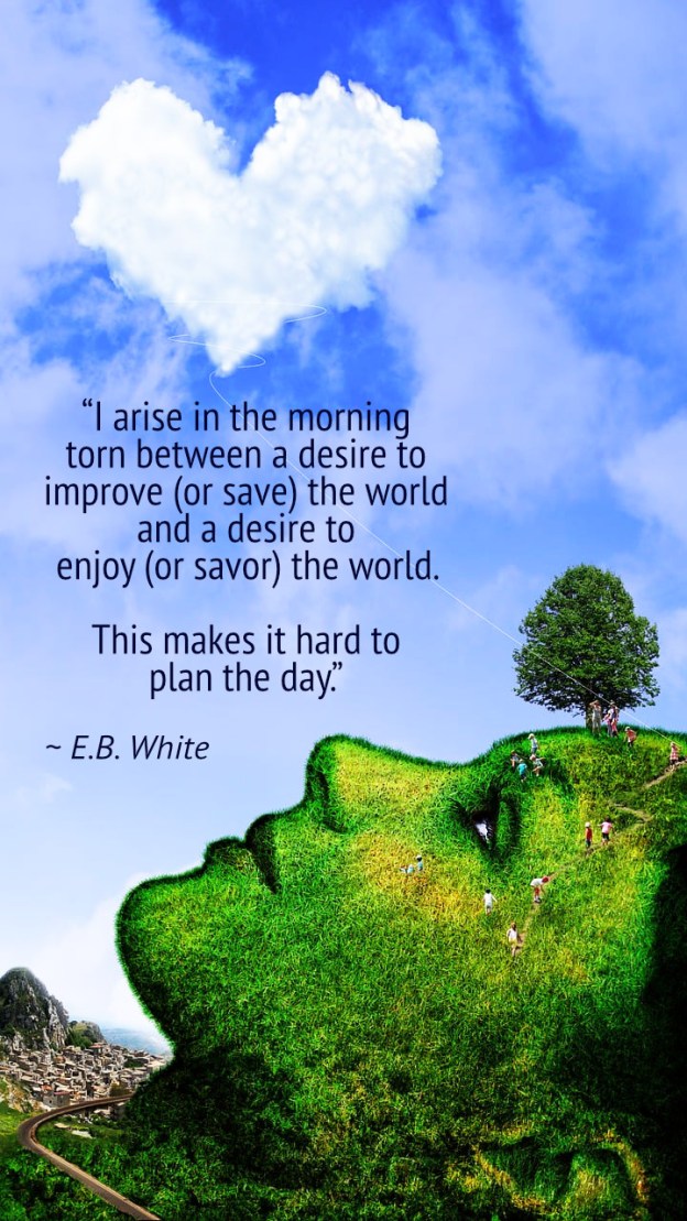 "I arise in the morning torn between a desire to improve (or save) the world and a desire to enjoy (or savor) the world. This makes it hard to plan the day." ~ E.B. White