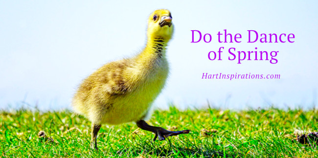 Doink Spring Do the Dance of Spring | Susan L Hart / Author
